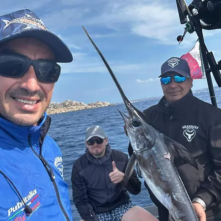 Hébergement de vacances 5 Min To Costa Smeralda - A Typical Sardinian House - Stazzo Lughente