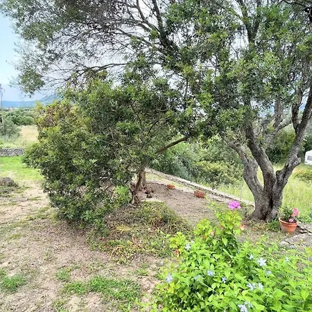 5 Min To Costa Smeralda - A Typical Sardinian House - Stazzo Lughente *