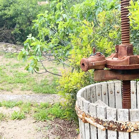 5 Min To Costa Smeralda - A Typical Sardinian House - Stazzo Lughente Cugnana