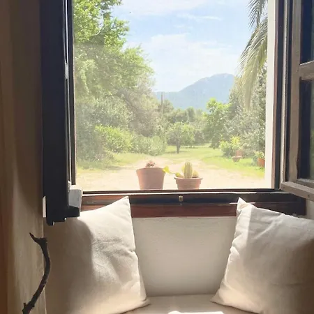 Hébergement de vacances 5 Min To Costa Smeralda - A Typical Sardinian House - Stazzo Lughente