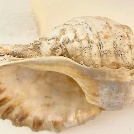 5 Min To Costa Smeralda - A Typical Sardinian House - Stazzo Lughente Cugnana