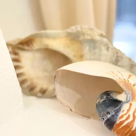 5 Min To Costa Smeralda - A Typical Sardinian House - Stazzo Lughente Hébergement de vacances *