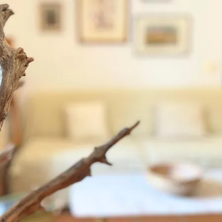 Hébergement de vacances 5 Min To Costa Smeralda - A Typical Sardinian House - Stazzo Lughente