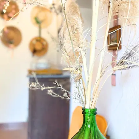 Hébergement de vacances 5 Min To Costa Smeralda - A Typical Sardinian House - Stazzo Lughente