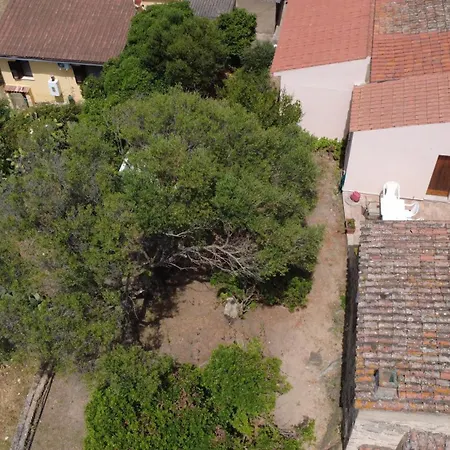 Holiday home 5 Min To Costa Smeralda - A Typical Sardinian House - Stazzo Lughente Cugnana