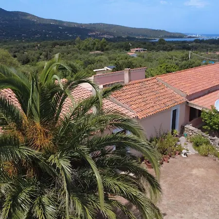 Hébergement de vacances 5 Min To Costa Smeralda - A Typical Sardinian House - Stazzo Lughente