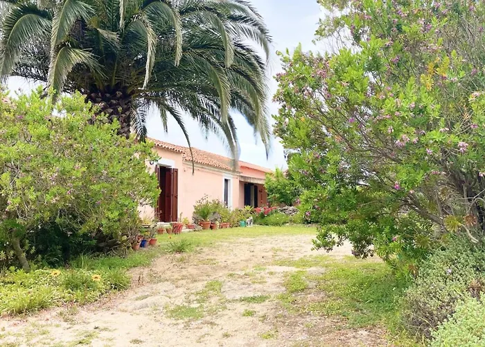 別荘 5 Min To Costa Smeralda - A Typical Sardinian House - Stazzo Lughente クニャナ