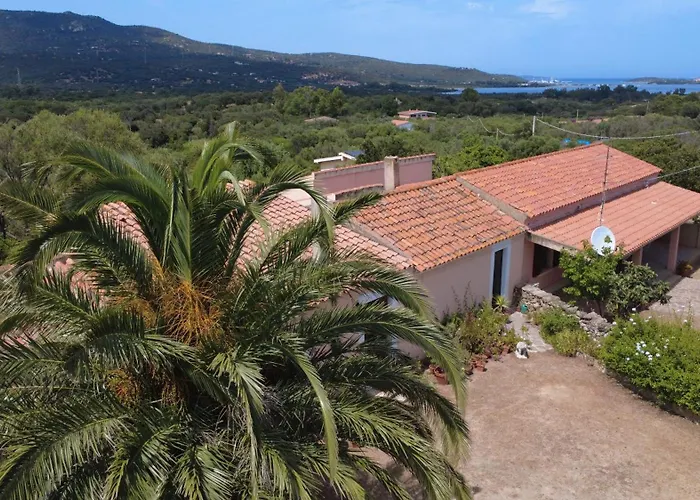 別荘 5 Min To Costa Smeralda - A Typical Sardinian House - Stazzo Lughente